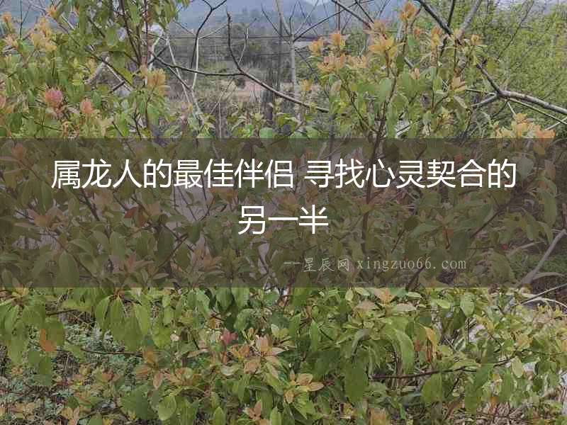 屬龍人的最佳伴侶 尋找心靈契合的另一半