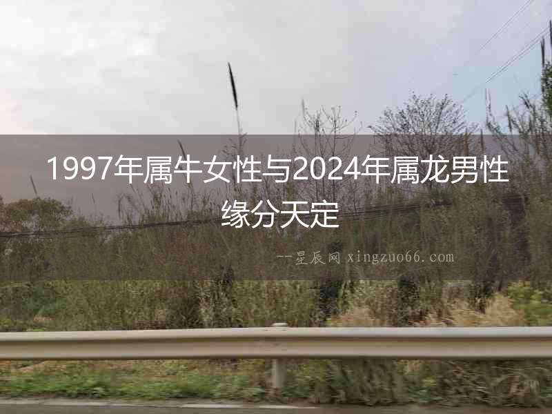 1997年屬牛女性與2024年屬龍男性 緣分天定