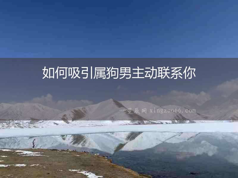 如何吸引屬狗男主動(dòng)聯(lián)系你