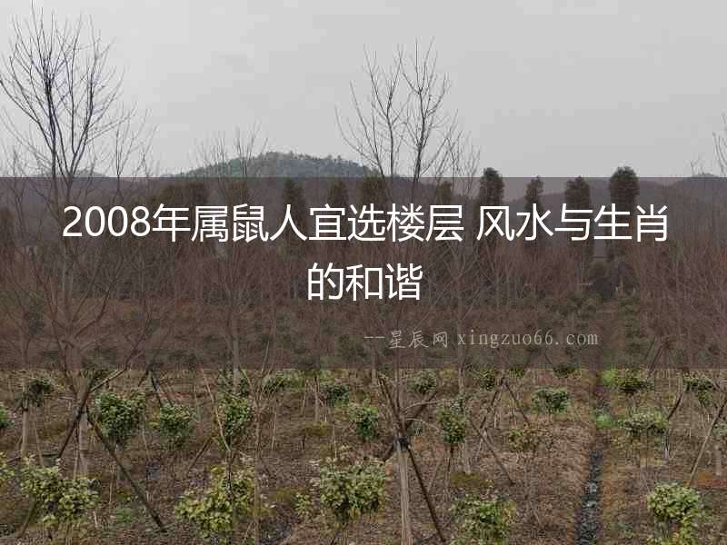2008年屬鼠人宜選樓層 風(fēng)水與生肖的和諧