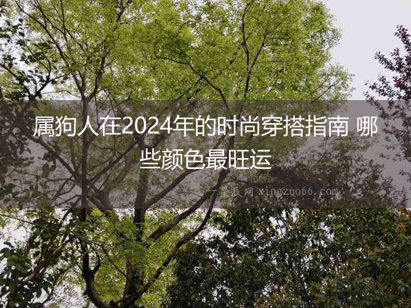 屬狗人在2024年的時尚穿搭指南 哪些顏色最旺運