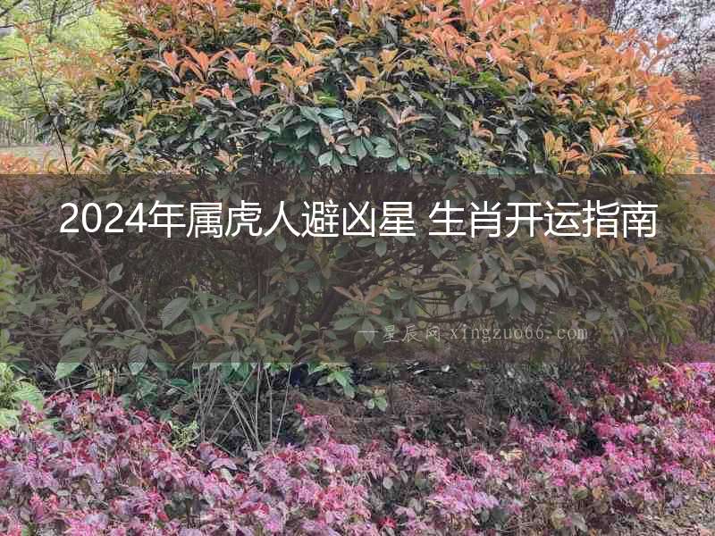2024年屬虎人避兇星 生肖開運指南