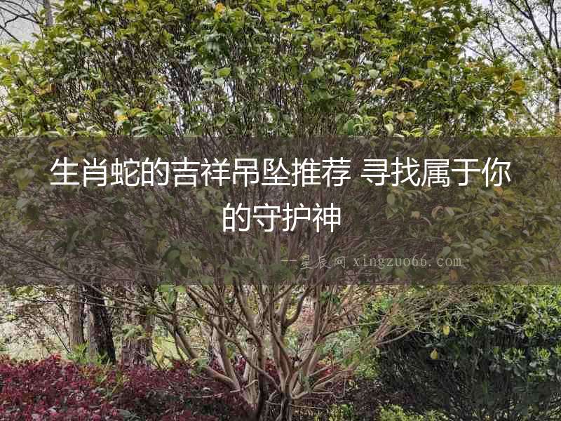 生肖蛇的吉祥吊墜推薦 尋找屬于你的守護神