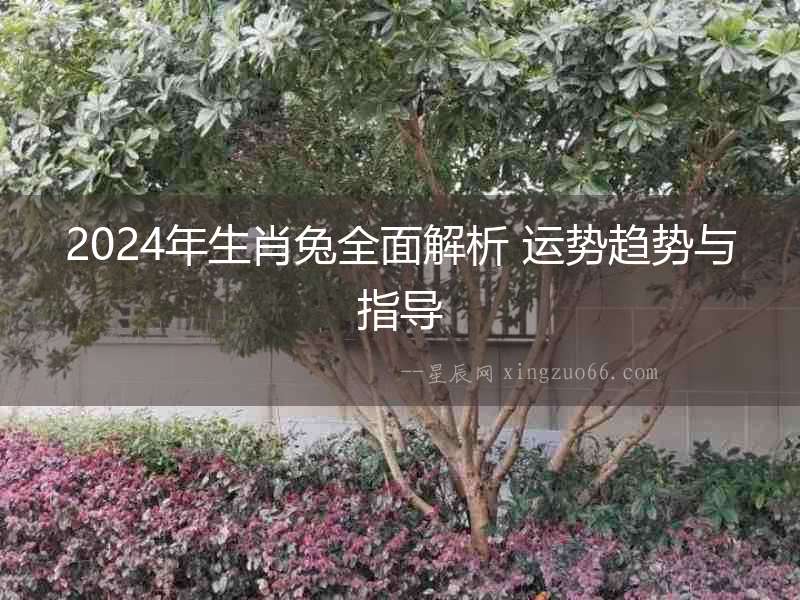 2024年生肖兔全面解析 運勢趨勢與指導