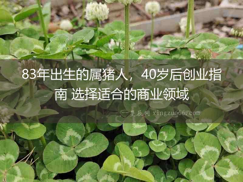 83年出生的屬豬人，40歲后創(chuàng)業(yè)指南 選擇適合的商業(yè)領(lǐng)域