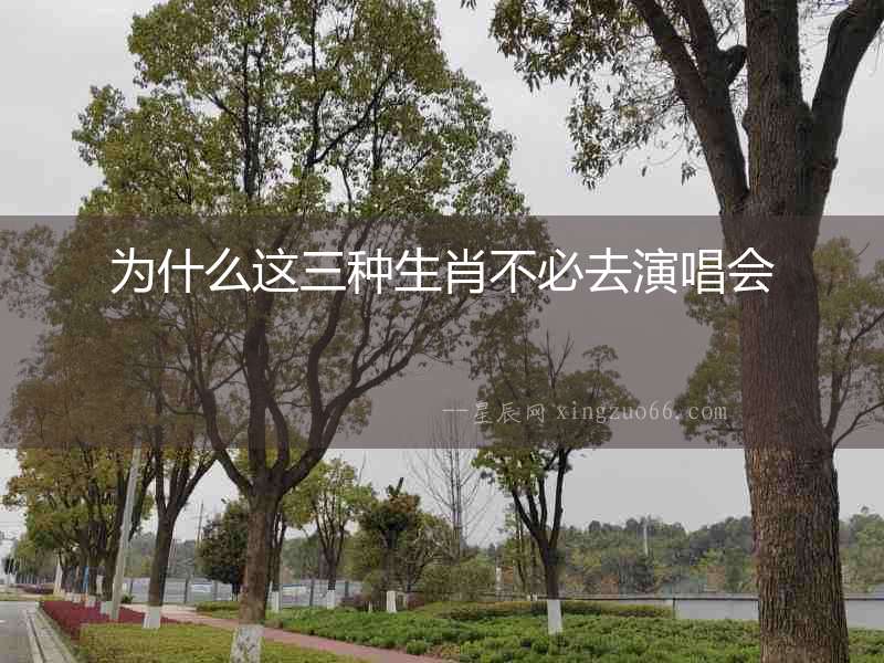 為什么這三種生肖不必去演唱會