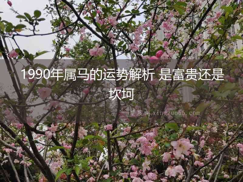 1990年屬馬的運勢解析 是富貴還是坎坷