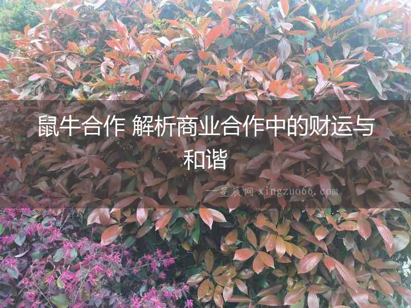 鼠牛合作 解析商業(yè)合作中的財(cái)運(yùn)與和諧