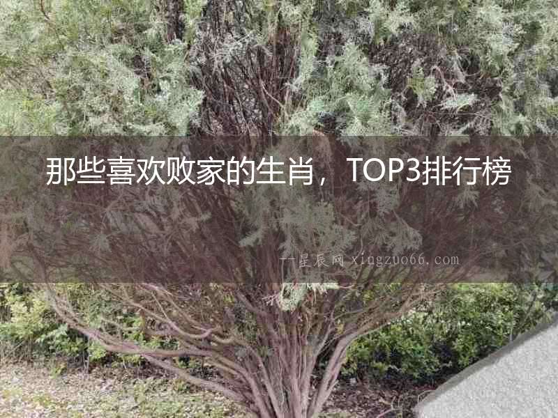那些喜歡敗家的生肖，TOP3排行榜