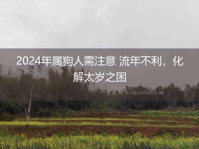 2024年屬狗人需注意 流年不利，化解太歲之困