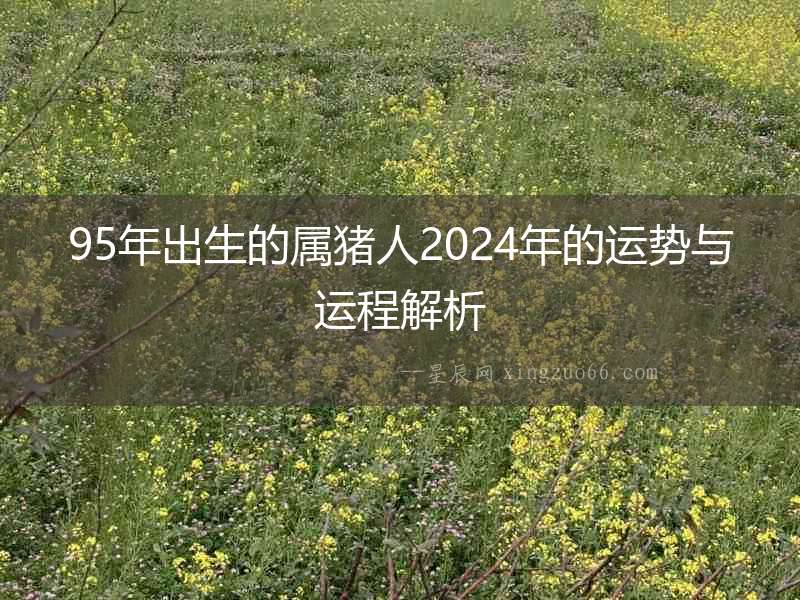 95年出生的屬豬人2024年的運勢與運程解析