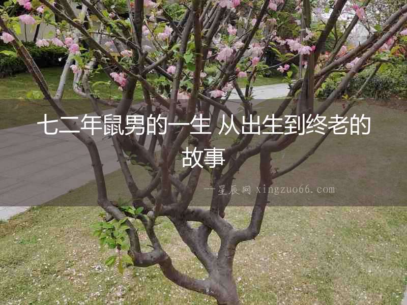 七二年鼠男的一生 從出生到終老的故事