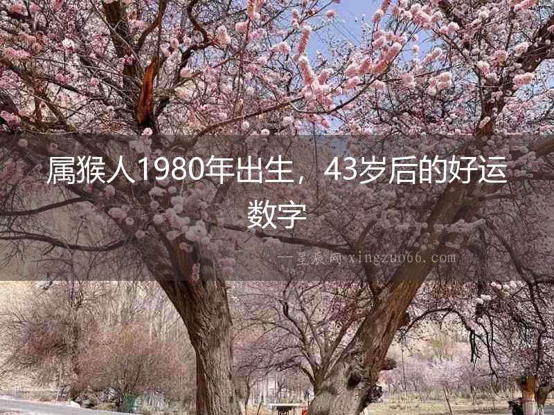 屬猴人1980年出生，43歲后的好運數(shù)字