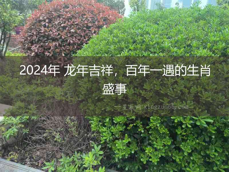 2024年 龍年吉祥，百年一遇的生肖盛事