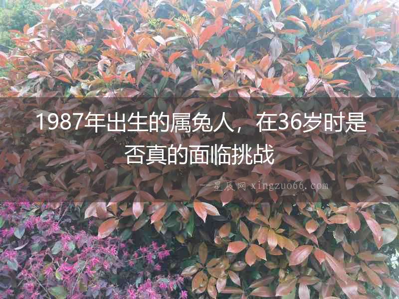1987年出生的屬兔人，在36歲時是否真的面臨挑戰(zhàn)