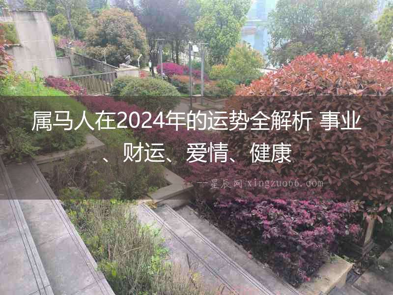 屬馬人在2024年的運(yùn)勢(shì)全解析 事業(yè)、財(cái)運(yùn)、愛(ài)情、健康