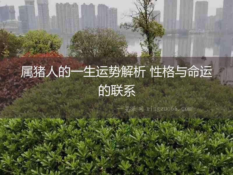 屬豬人的一生運勢解析 性格與命運的聯系