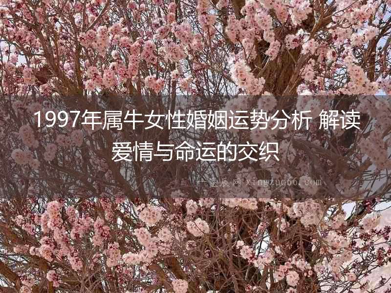 1997年屬牛女性婚姻運勢分析 解讀愛情與命運的交織