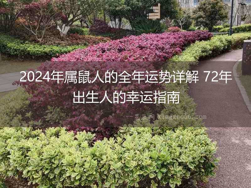 2024年屬鼠人的全年運勢詳解 72年出生人的幸運指南