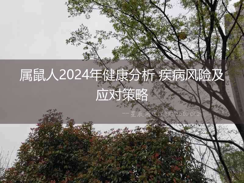 屬鼠人2024年健康分析 疾病風險及應對策略