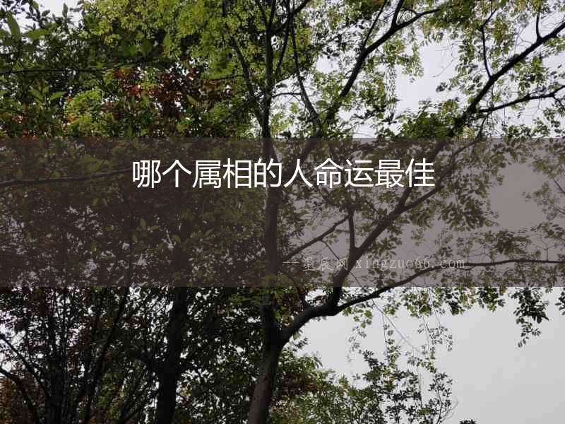 哪個屬相的人命運最佳