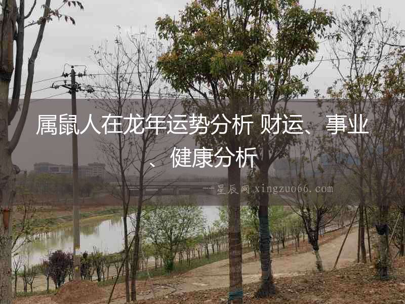 屬鼠人在龍年運(yùn)勢(shì)分析 財(cái)運(yùn)、事業(yè)、健康分析