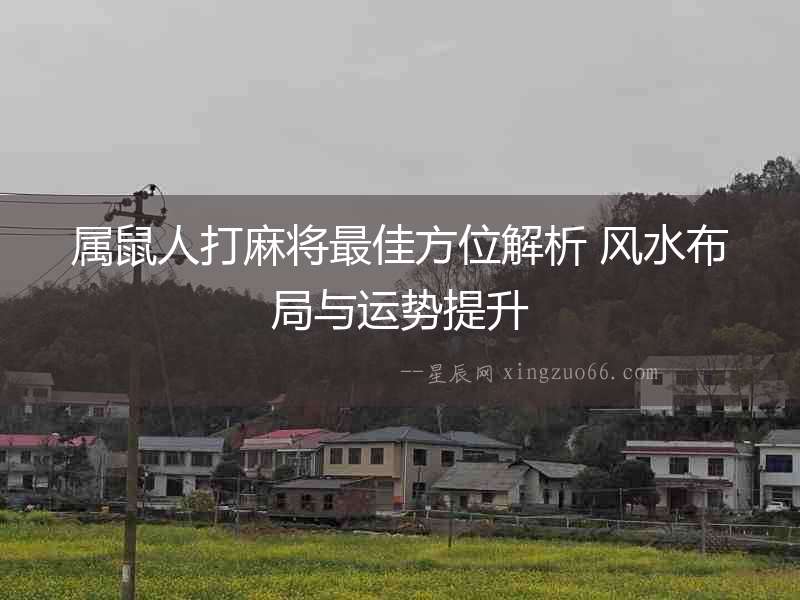 屬鼠人打麻將最佳方位解析 風水布局與運勢提升