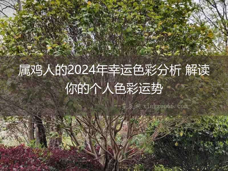 屬雞人的2024年幸運色彩分析 解讀你的個人色彩運勢