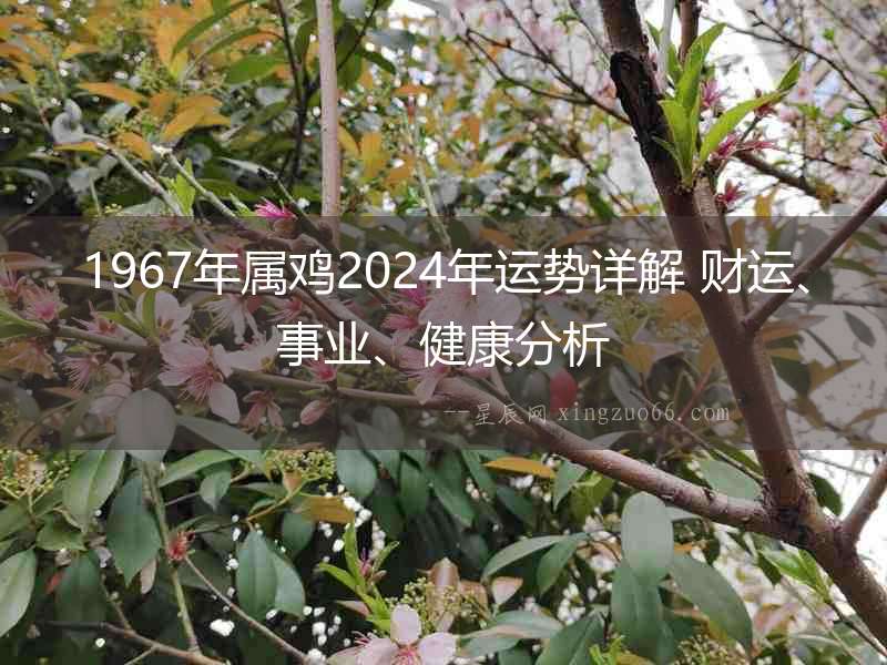 1967年屬雞2024年運勢詳解 財運、事業、健康分析