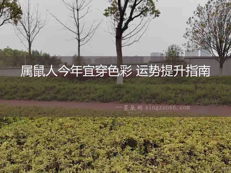 屬鼠人今年宜穿色彩 運勢提升指南