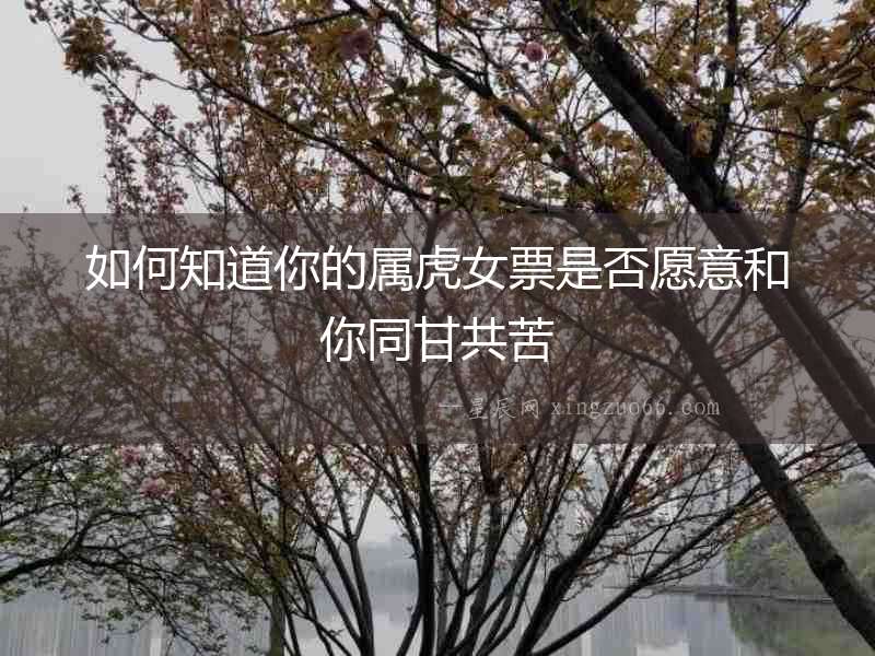 如何知道你的屬虎女票是否愿意和你同甘共苦