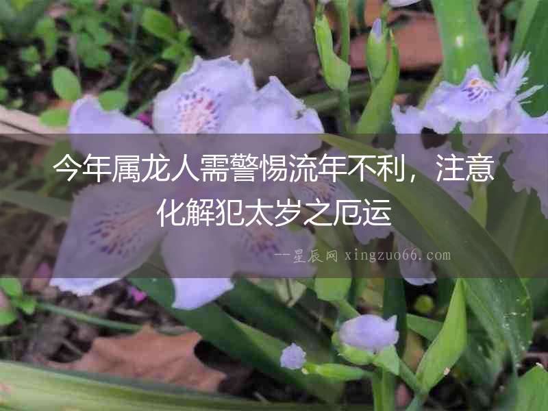 今年屬龍人需警惕流年不利，注意化解犯太歲之厄運
