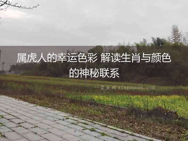 屬虎人的幸運色彩 解讀生肖與顏色的神秘聯(lián)系