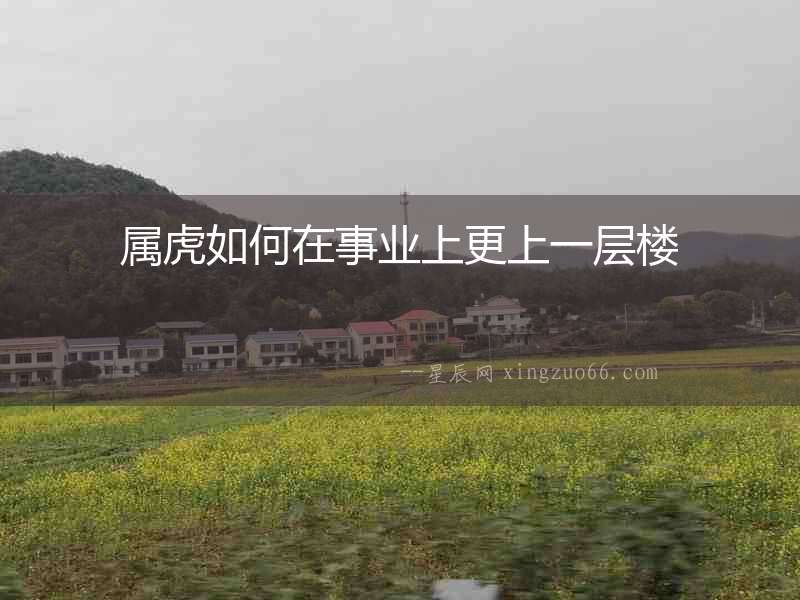 屬虎如何在事業上更上一層樓