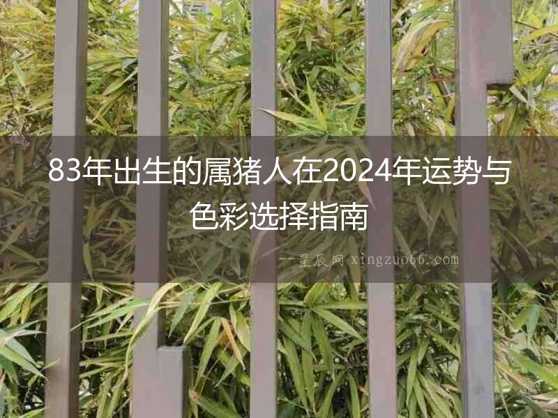 83年出生的屬豬人在2024年運勢與色彩選擇指南