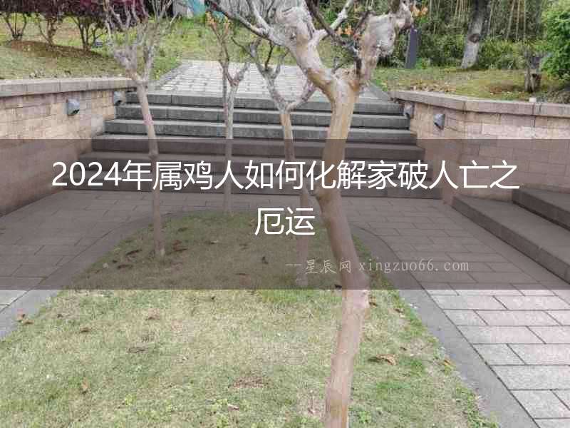 2024年屬雞人如何化解家破人亡之厄運(yùn)