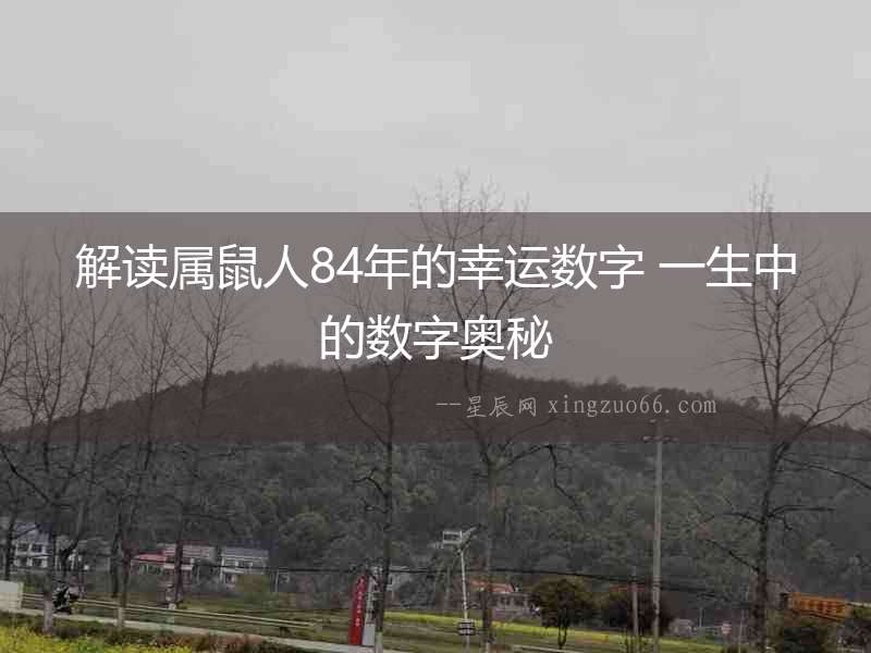 解讀屬鼠人84年的幸運數(shù)字 一生中的數(shù)字奧秘