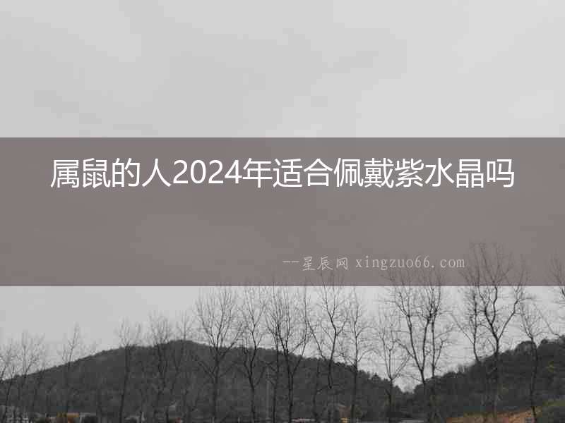 屬鼠的人2024年適合佩戴紫水晶嗎