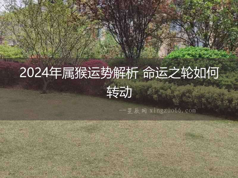 2024年屬猴運(yùn)勢(shì)解析 命運(yùn)之輪如何轉(zhuǎn)動(dòng)