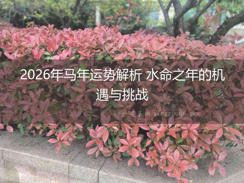 2026年馬年運勢解析 水命之年的機遇與挑戰