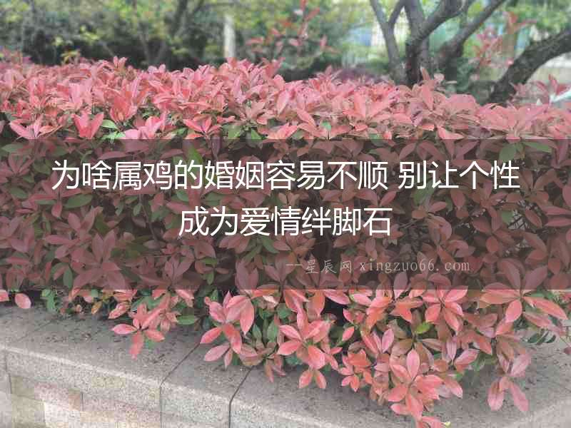 為啥屬雞的婚姻容易不順 別讓個(gè)性成為愛(ài)情絆腳石