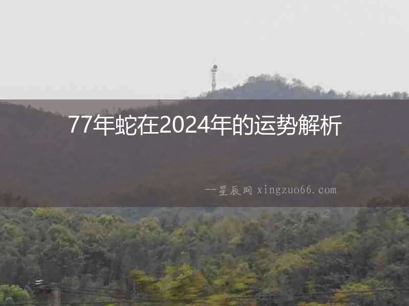 77年蛇在2024年的運勢解析