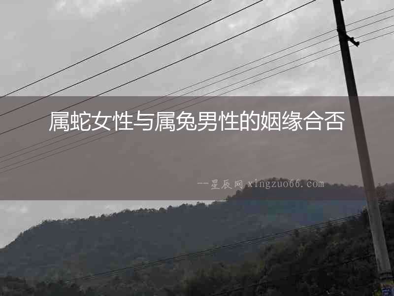 屬蛇女性與屬兔男性的姻緣合否