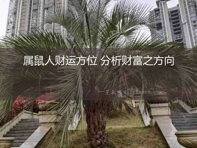 屬鼠人財運方位 分析財富之方向