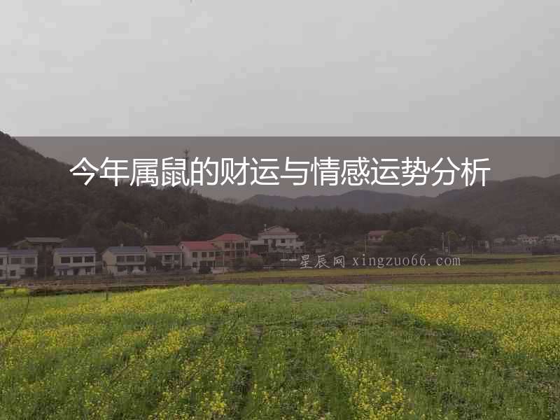 今年屬鼠的財運與情感運勢分析