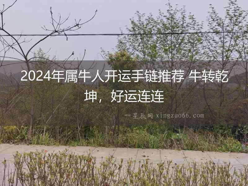 2024年屬牛人開(kāi)運(yùn)手鏈推薦 牛轉(zhuǎn)乾坤，好運(yùn)連連