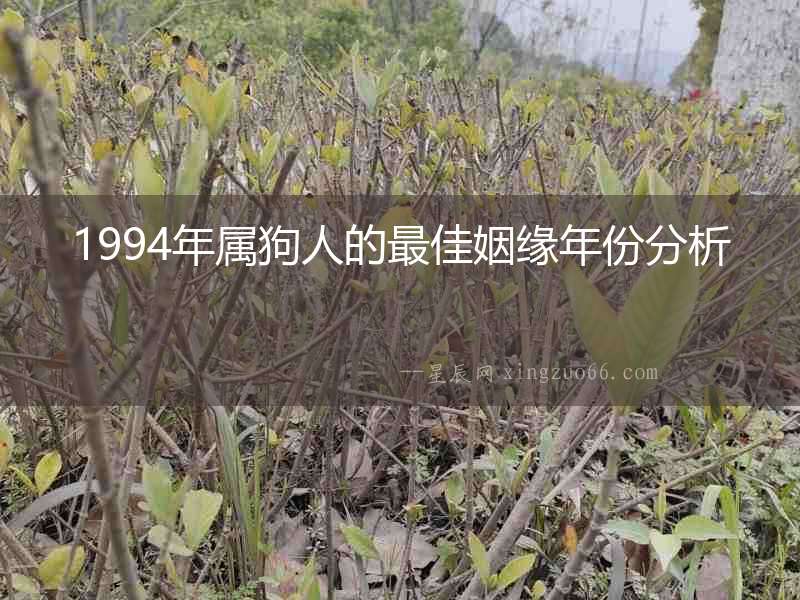 1994年屬狗人的最佳姻緣年份分析