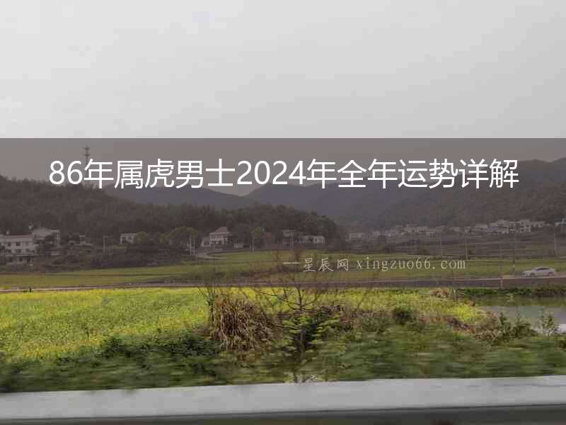 86年屬虎男士2024年全年運(yùn)勢詳解
