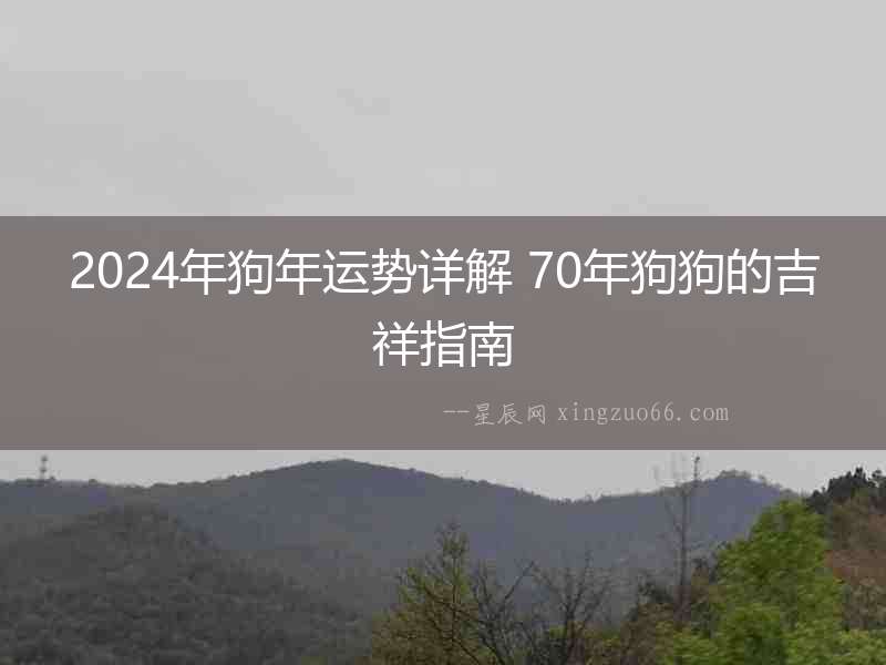2024年狗年運勢詳解 70年狗狗的吉祥指南
