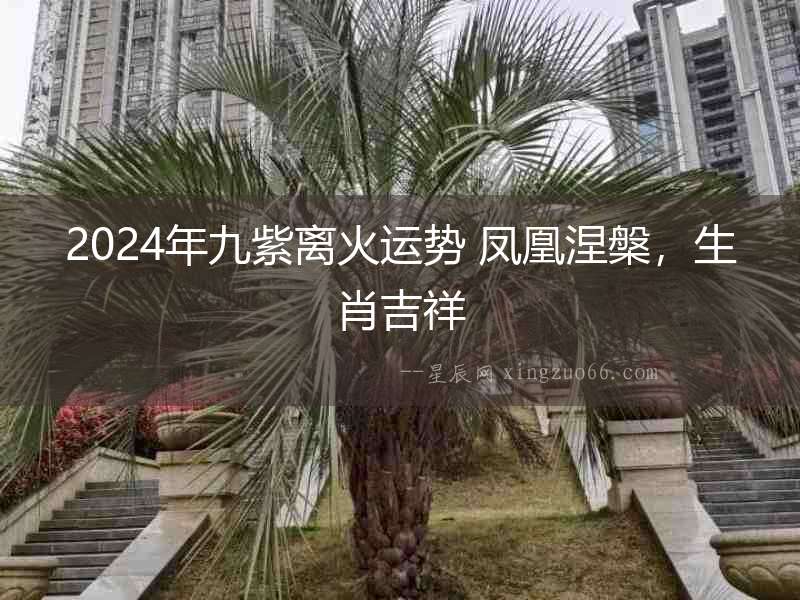 2024年九紫離火運勢 鳳凰涅槃，生肖吉祥